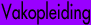 vakopleiding